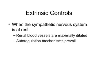 Extrinsic Controls
• When the sympathetic nervous system
  is at rest:
  – Renal blood vessels are maximally dilated
  – Autoregulation mechanisms prevail
 