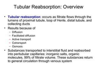 Tubular Reabsorption: Overview
• Tubular reabsorption: occurs as filtrate flows through the
  lumens of proximal tubule, loop of Henle, distal tubule, and
  collecting ducts
• Results because of
   –   Diffusion
   –   Facilitated diffusion
   –   Active transport
   –   Cotransport
   –   Osmosis
• Substances transported to interstitial fluid and reabsorbed
  into peritubular capillaries: inorganic salts, organic
  molecules, 99% of filtrate volume. These substances return
  to general circulation through venous system
 