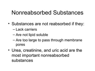 Nonreabsorbed Substances
• Substances are not reabsorbed if they:
  – Lack carriers
  – Are not lipid soluble
  – Are too large to pass through membrane
    pores
• Urea, creatinine, and uric acid are the
  most important nonreabsorbed
  substances
 