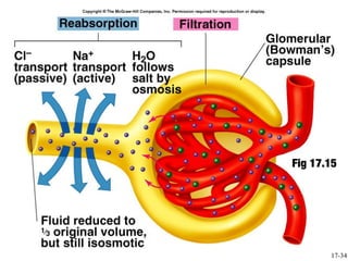 Insert fig. 17.14




                    Fig 17.15




                           17-34
 