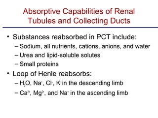 Absorptive Capabilities of Renal
      Tubules and Collecting Ducts
• Substances reabsorbed in PCT include:
  – Sodium, all nutrients, cations, anions, and water
  – Urea and lipid-soluble solutes
  – Small proteins
• Loop of Henle reabsorbs:
  – H2O, Na+, Cl−, K+ in the descending limb
  – Ca2+, Mg2+, and Na+ in the ascending limb
 