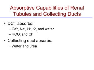 Absorptive Capabilities of Renal
    Tubules and Collecting Ducts
• DCT absorbs:
  – Ca2+, Na+, H+, K+, and water
  – HCO3− and Cl−
• Collecting duct absorbs:
  – Water and urea
 
