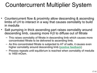 Countercurrent Multiplier System

• Countercurrent flow & proximity allow descending & ascending
  limbs of LH to interact in a way that causes osmolality to build
  in medulla
• Salt pumping in thick ascending part raises osmolality around
  descending limb, causing more H20 to diffuse out of filtrate
   – This raises osmolality of filtrate in descending limb which causes more
     concentrated filtrate to be delivered to ascending limb.
   – As this concentrated filtrate is subjected to AT of salts, it causes even
     higher osmolality around descending limb (positive feedback)
   – Process repeats until equilibrium is reached when osmolality of medulla
     is 1400 mOsm.




                                                                            17-41
 