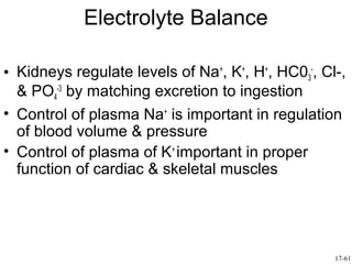 Electrolyte Balance

• Kidneys regulate levels of Na+, K+, H+, HC03-, Cl-,
  & PO4-3 by matching excretion to ingestion
• Control of plasma Na+ is important in regulation
  of blood volume & pressure
• Control of plasma of K+ important in proper
  function of cardiac & skeletal muscles




                                                   17-61
 