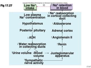 Fig 17.27




            17-67
 