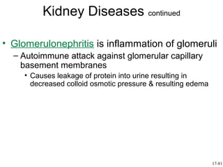 Kidney Diseases continued

• Glomerulonephritis is inflammation of glomeruli
  – Autoimmune attack against glomerular capillary
    basement membranes
     • Causes leakage of protein into urine resulting in
       decreased colloid osmotic pressure & resulting edema




                                                              17-81
 