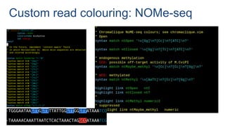 BioSyntax: syntax highlighting for computational biology | PPT