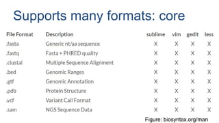 BioSyntax: syntax highlighting for computational biology | PPT
