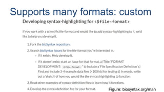 BioSyntax: syntax highlighting for computational biology | PPT