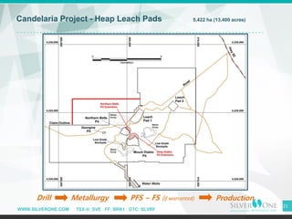 WWW.SILVERONE.COM TSX-V: SVE FF: BRK1 OTC: SLVRF
21
Candelaria Project - Heap Leach Pads 5,422 ha (13,400 acres)
Drill Metallurgy PFS – FS (if warranted) Production
 