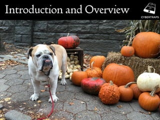 Introduction and Overview
 