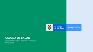 CADENA DE CACAO
Dirección de Cadenas Agrícolas y Forestales
Marzo 2020
 