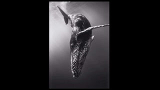 Cafechurch Session: Why did Jesus have to die?