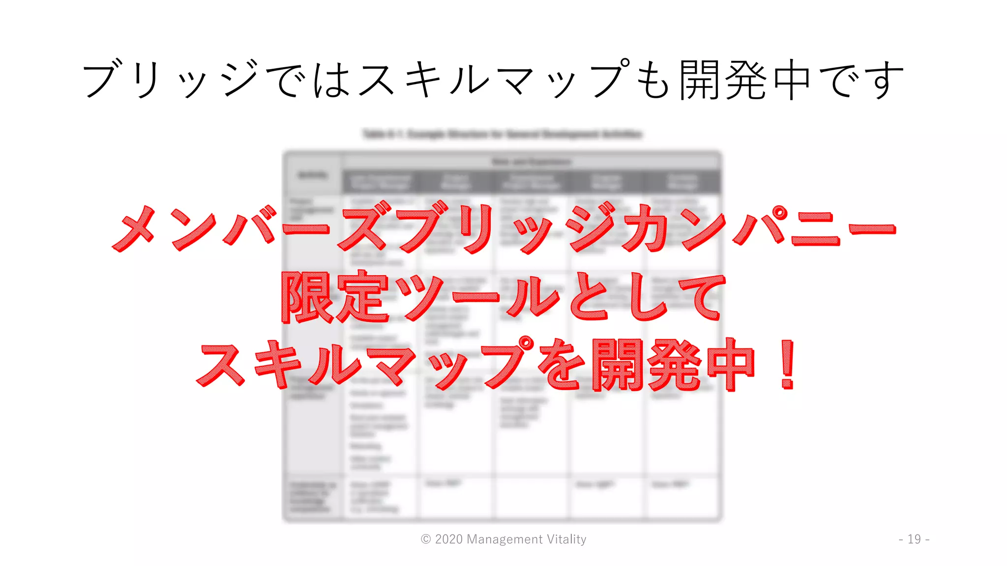 ブリッジではスキルマップも開発中です
© 2020 Management Vitality - 19 -
 