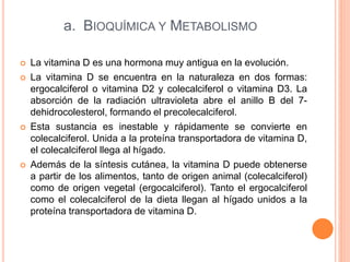 a. BIOQUÍMICA Y METABOLISMO
 La vitamina D es una hormona muy antigua en la evolución.
 La vitamina D se encuentra en la naturaleza en dos formas:
ergocalciferol o vitamina D2 y colecalciferol o vitamina D3. La
absorción de la radiación ultravioleta abre el anillo B del 7-
dehidrocolesterol, formando el precolecalciferol.
 Esta sustancia es inestable y rápidamente se convierte en
colecalciferol. Unida a la proteína transportadora de vitamina D,
el colecalciferol llega al hígado.
 Además de la síntesis cutánea, la vitamina D puede obtenerse
a partir de los alimentos, tanto de origen animal (colecalciferol)
como de origen vegetal (ergocalciferol). Tanto el ergocalciferol
como el colecalciferol de la dieta llegan al hígado unidos a la
proteína transportadora de vitamina D.
 
