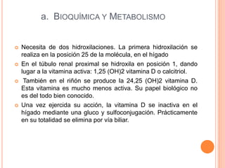 a. BIOQUÍMICA Y METABOLISMO
 Necesita de dos hidroxilaciones. La primera hidroxilación se
realiza en la posición 25 de la molécula, en el hígado
 En el túbulo renal proximal se hidroxila en posición 1, dando
lugar a la vitamina activa: 1,25 (OH)2 vitamina D o calcitriol.
 También en el riñón se produce la 24,25 (OH)2 vitamina D.
Esta vitamina es mucho menos activa. Su papel biológico no
es del todo bien conocido.
 Una vez ejercida su acción, la vitamina D se inactiva en el
hígado mediante una gluco y sulfoconjugación. Prácticamente
en su totalidad se elimina por vía biliar.
 
