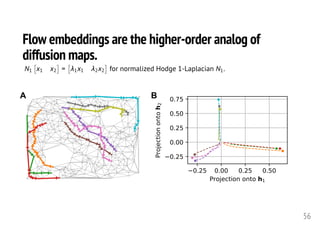 Flow embeddings are the higher-order analog of
diffusion maps.
56
<latexit sha1_base64="t3a3BIllEKBJoLIHn+m/2Gk55Ew=">AAAH0nicfVVbb9xEFHYKNGW5NIU3eJmSLEKVd7PeEtIgRVqJqmqlFAK7vUhxtIztY3u0czEz48aJ5QfEK+L/8T/4AZxZb9p4E5gHey7nO5fvnDMTFZwZOxr9vXHrvfc/uL1558PeRx9/8undrXufvTSq1DG8iBVX+nVEDXAm4YVllsPrQgMVEYdX0eIHd/7qDWjDlJzZ8wJOBc0kS1lMLW7Nt/7a+XEehBFkTNaRoFazqqnmAfmaVPNxCDJ5u0sOyZocCTkaSug8aBGXyzFCSQe7Q1KliVRaUM4uICFPVZIBCQZHtOA0ZlQS58fOcL61PRqOloNcnwSryba3Gsfze7f9MFFxKUDamFNjToJRYU9rqi2LOTS9sDRQ0HhBMzjBqaQCzGm9JK4hfdxJlr6lSlqy3O1dhaAeTc87WmpLo5JTXXV3I6UWeGKaDv7E5cXIUkSgIfF1ySFB53imNLO5GMOaeGnTR6c1k0VpQcatg2nJiVXEZY8kTENs+TnpemnZ4sKXLIZU09inwiDvuV8wF5Uv6AJi4Lz114lyFmmqz11w6sz4EWrJtCplYvyCWgtaGr/NnG9yWoDxU2b9mPLYrROHKbiyguqF+S+tQwGW4uGSUw62npWphV8gaWpk4v6j0f0IM7+4KmFzyDSAbOrlz8mc5czCmkzES2hq970i0euT3NrCfL+7a6EaGou6oYpzKjMYxkrs/laCcSVvdoPv9g7GB7sGBMPOiLARxOAMszFwQQyYHETYP6CXcg/3t9tfL3Q0Uuwvx08vzLiKKA9xGTrYBKQpNUwSxbE0JthdsUrgMNTAaXWJVeh8t7xOZsFp7ZLkkt3J6PFsSqUjV4OEMwxAUOynMKWC8fMEUlpy29ShSS/n3YIwqauApte/asxgBiE5HA0P/FgwNJppyrEZ0ICtTOpUdINE3aG0lVM1acG1eXCCXbh32qwH9Riw/TRMz0Wk+BMMqW61mKb+6flRU0tnQrCmFk3N0N1wCvYmYdxI1iHRCrKy4QDTMsJ02tKl9GYD6xamT547Si4NzIIOfXVUNbXh74w44RZdP0NJxwHlRU6bd67++myN9STjwOJ80HJ/0wkm2uDF0705hFNzNctiyjKBlsK2qpy6OoxEHbb7zbWyEEfLm/cGxOqg6Zp4EFYR1SdYfGEeqaoO37hvvxfm7oYiObAst3jv7u8VlvTJLAdCY1tSThDWCxd4Q4yG4z2o+uRy9MljfK2ojIFEYM+wf50sQWPELGnstab6PUKWCgajYQCif4me5kojO0xmREmCRUU4pJYYloBDXIlrO2jeKsGn4eH/KtHLSJZakIQG35dg/TW5Pnk5HgZ7w9HP4+3Jt6uX5o73pfeV940XePvexHvqHXsvvNj7Z+OLje2Nnc3Z5sXm75t/tKK3NlaYz73O2PzzXy26wH8=</latexit>
N1
⇥
x1 x2
⇤
=
⇥
1x1 2x2
⇤
for normalized Hodge 1-Laplacian N1.
A B
 
