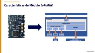 Company Confidential
Características do Módulo LoRaONE
 