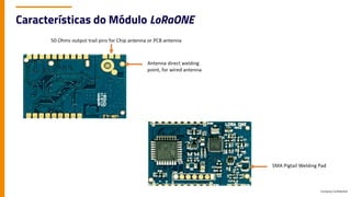 Company Confidential
Características do Módulo LoRaONE
 