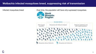 Wolbachia infected mosquitoes breed, suppressing risk of transmission
6
Infected mosquitoes breed Over time, the population will have only supressed mosquitoes
 