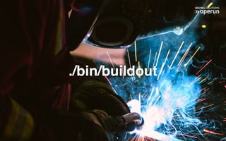 ./bin/buildout
 