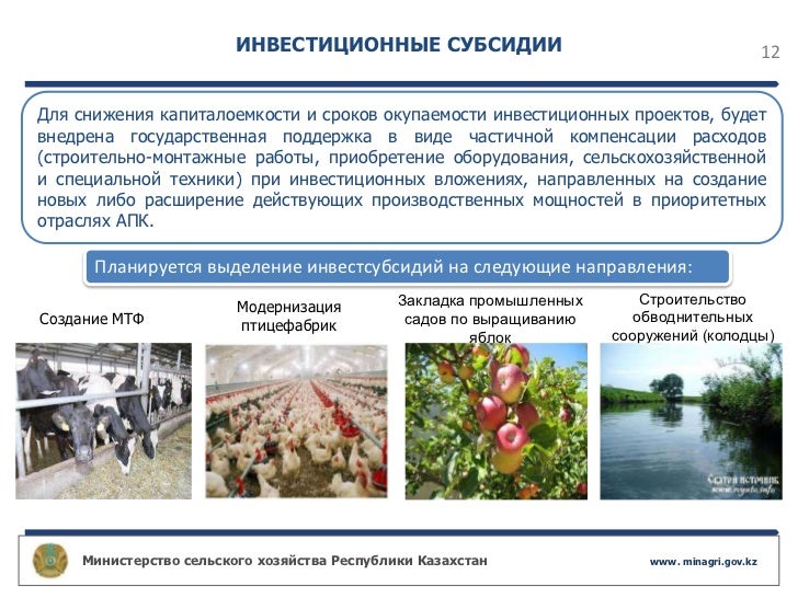 Агробизнес - 2020
