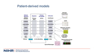 Patient-derived models
 