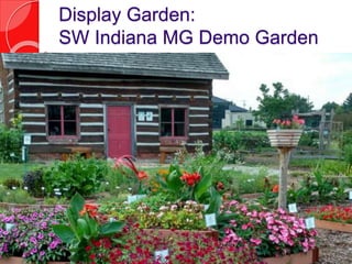 Display Garden:
SW Indiana MG Demo Garden
 
