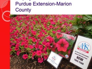 Purdue Extension-Marion
County
 