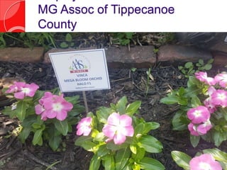 MG Assoc of Tippecanoe
County
 