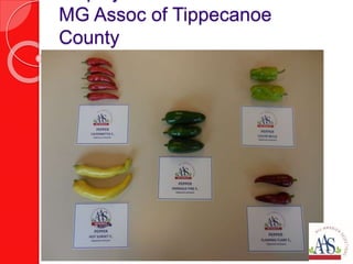 MG Assoc of Tippecanoe
County
 