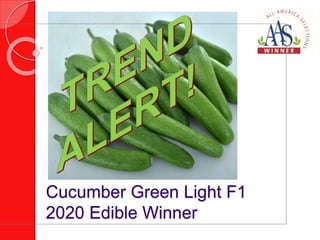 Cucumber Green Light F1
2020 Edible Winner
 