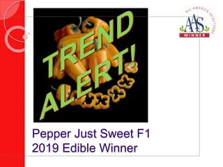Pepper Just Sweet F1
2019 Edible Winner
 