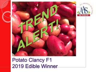 Potato Clancy F1
2019 Edible Winner
 