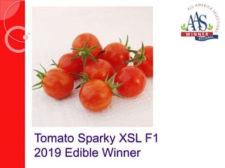 Tomato Sparky XSL F1
2019 Edible Winner
 