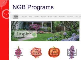 NGB Programs
 