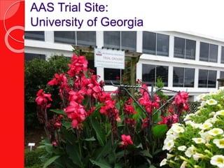 AAS Trial Site:
University of Georgia
 