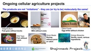 Shojinmeat Project - Open source cellular agriculture initiative