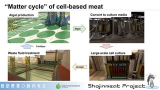 “Matter cycle” of cell-based meat
Convert to culture media
Large-scale cell cultureWaste fluid treatment
Algal production
...