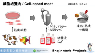 細胞培養肉 / Cell-based meat
筋肉細胞
バイオリアクター
（大型タンク）
培養液
など
成形・熟成
　⇒出荷
純粋培養肉、「純肉」とも
 