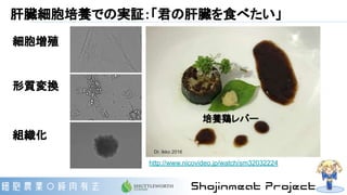 肝臓細胞培養での実証：「君の肝臓を食べたい」
細胞増殖
形質変換
組織化
培養鶏レバー
http://www.nicovideo.jp/watch/sm32032224
Dr. Ikko 2016
 