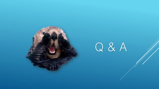 Q & A
 