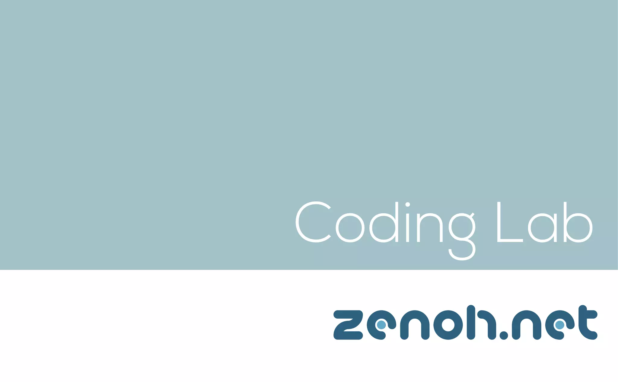 Coding Lab
zenoh.net
 