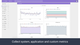 Collect system, application and custom metrics
 