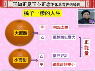 正知正見正心正念不休息菩萨结缘训
橘子一樣的人生
大而酸
小而甜
甲 抱怨太酸
乙 歡呼好甜
乙 雖然酸但變大
甲 雖然甜但變小
正
能
量
 