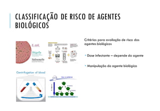 CLASSIFICAÇÃO DE RISCO DE AGENTES
BIOLÓGICOS
Critérios para avaliação de risco dos
agentes biológicos
 Dose infectante – depende do agente
 Manipulação do agente biológico
 