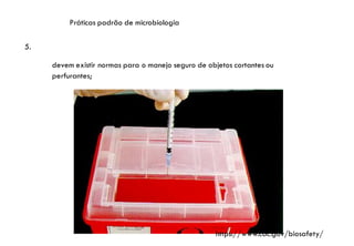 Práticas padrão de microbiologia
5.
devem existir normas para o manejo seguro de objetos cortantes ou
perfurantes;
https://www.cdc.gov/biosafety/
 
