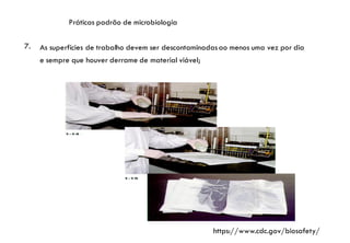 Práticas padrão de microbiologia
7. As superfícies de trabalho devem ser descontaminadasao menos uma vez por dia
e sempre que houver derrame de material viável;
https://www.cdc.gov/biosafety/
 