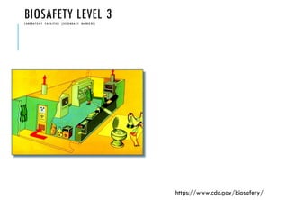 BIOSAFETY LEVEL 3
LABORATORY FACILITIES (SECONDARY BARRIERS)
https://www.cdc.gov/biosafety/
 