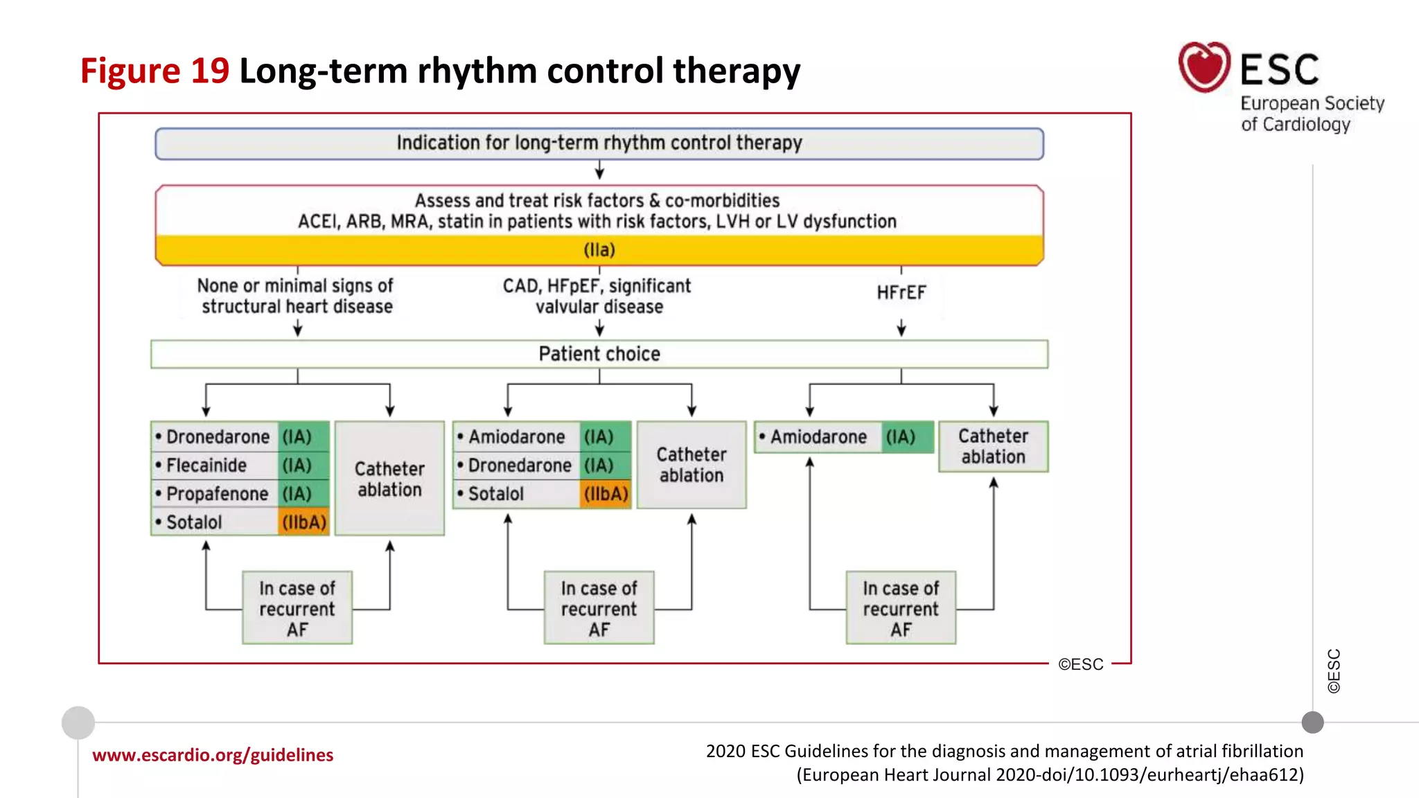 2020 ESC Guidelines for the diagnosis and management of atrial fibrillation
(European Heart Journal 2020-doi/10.1093/eurheartj/ehaa612)
www.escardio.org/guidelines
©ESC
Figure 19 Long-term rhythm control therapy
©ESC
 